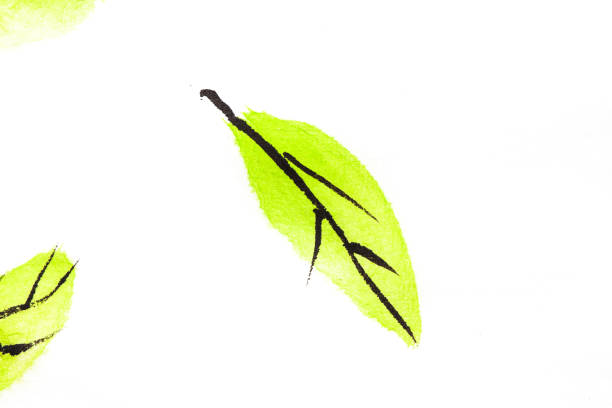 istock Green leaf image picture on rice paper 1186102037
