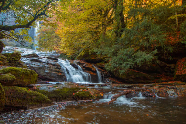 istock Yellow waterfall in autumn forest, landscape, vertical 1186102050