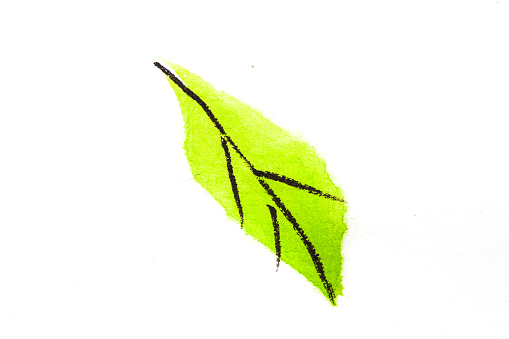 Green leaf image picture on rice paper