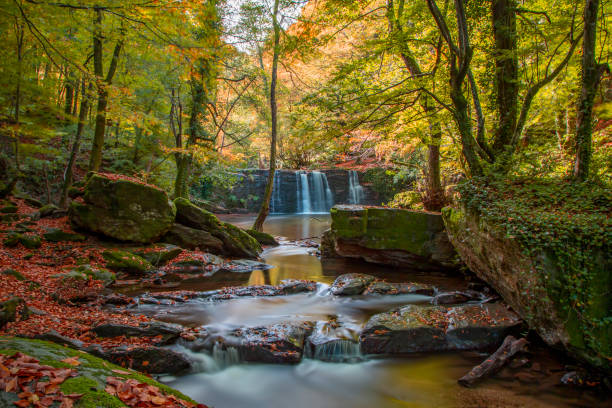 istock Yellow waterfall in autumn forest, landscape, vertical 1186102055