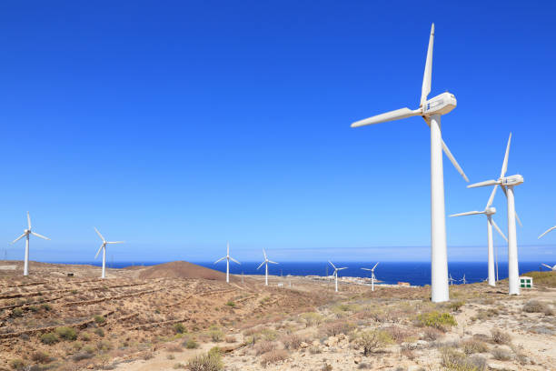 풍력 터빈 - image alternative energy canary islands color image 뉴스 사진 이미지