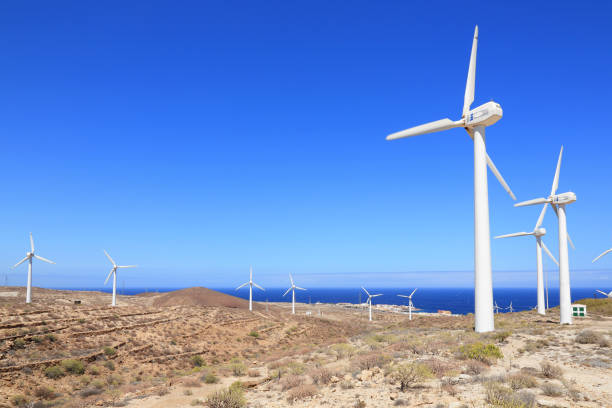wind turbines - image alternative energy canary islands color image imagens e fotografias de stock