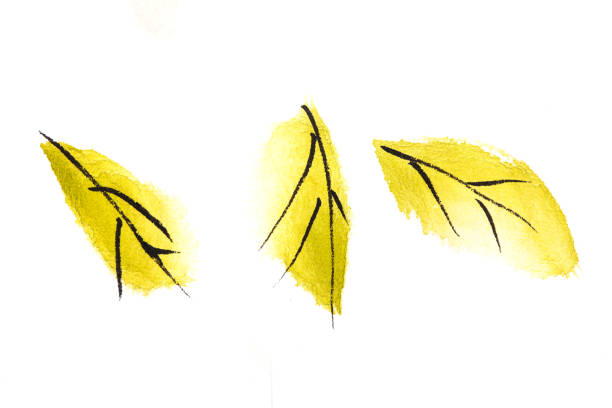 istock Yellow leaf painting on rice paper 1186102712