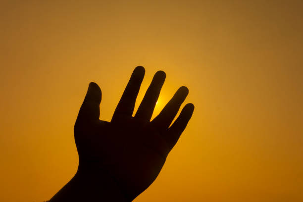 istock hand sign gesture on silhoutte 1186104357