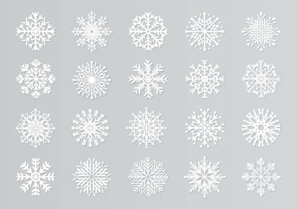 ilustraciones, imágenes clip art, dibujos animados e iconos de stock de copos de nieve cortados en papel. plantillas de diseño de navidad 3d blancas para decoración y tarjetas de felicitación. juego de nieve de papel aislado vectorial - snow flakes
