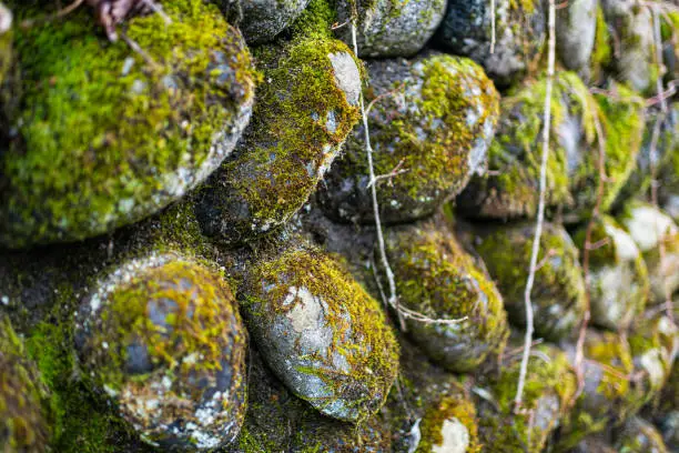 Abstract closeup texture of stone wall in Okuhida villages near Takayama, Japan mountain in Gifu Prefecture park with moss and snow