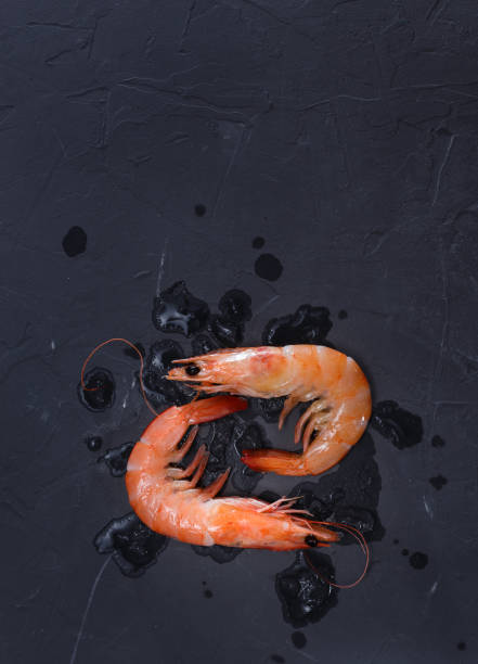 istock Fresh shrimps with ice on dark grey background. Top View. Copy space. 1186105325