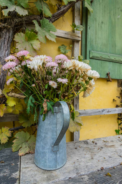 istock View on a window with autumnal flowers, romantic autumn. 1186106190