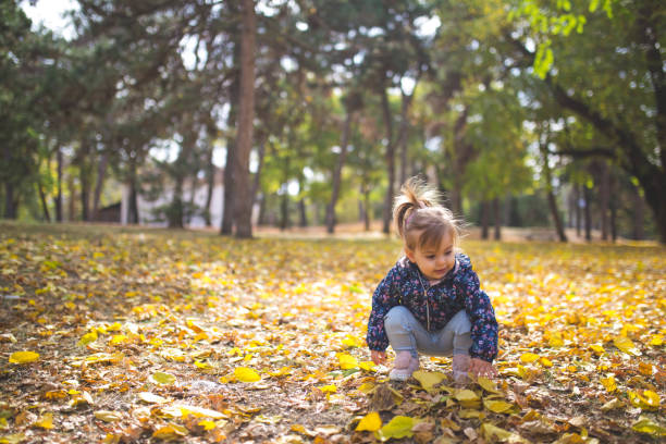 istock Little girl playing in autumn park 1186106201