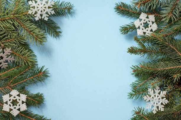 istock winter blue background with tree branches ans snow decoration, copy space 1186109460