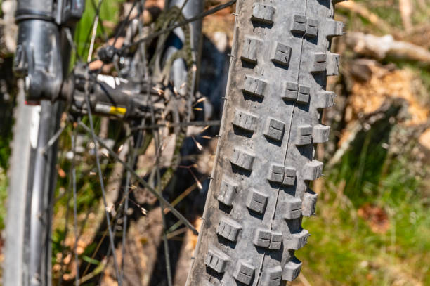 istock Tire profile of a mountain bike 1186111427