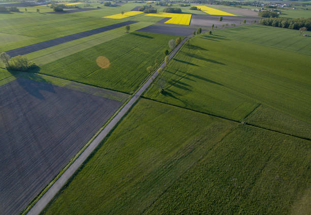 istock Aerial view of cultivated fields 1 1186111430