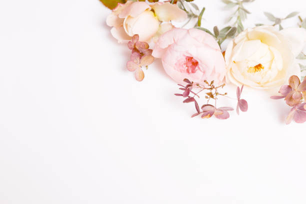 istock Festive flower composition on the white background. Overhead view 1186111440