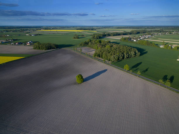 istock Aerial view of cultivated fields 5 1186111540