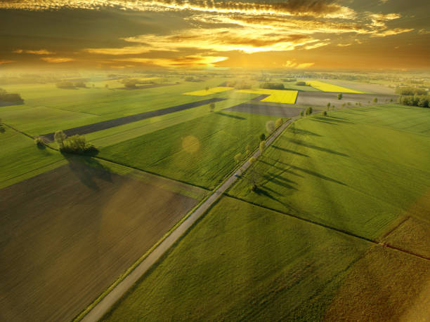 veduta aerea dei campi sui campi - wheat cereal plant agriculture green foto e immagini stock