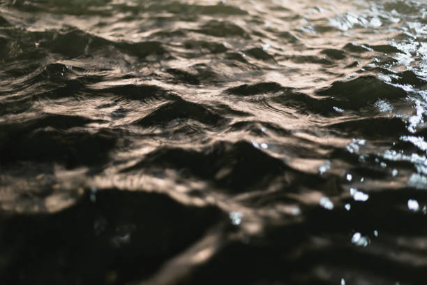 istock Blurred water, bokeh light in the pool and water waves clashing into beautiful colored reflections. 1186111696