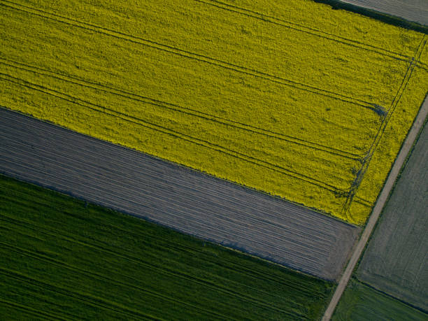 istock Aerial view of cultivated fields 4 1186111821