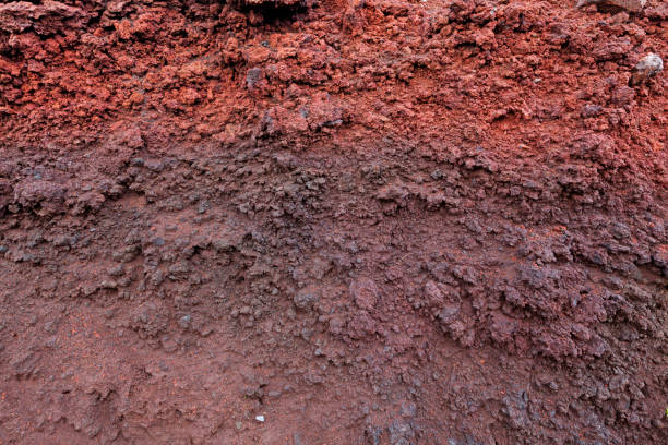 A cut of red volcanic soil with different layers visible, on the hills of Fuji mountain, Japan