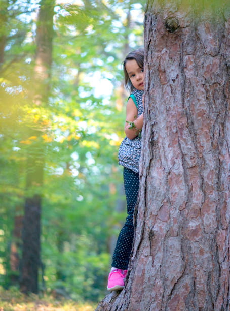 istock little girl climbing on a tree in the forest 1186116130