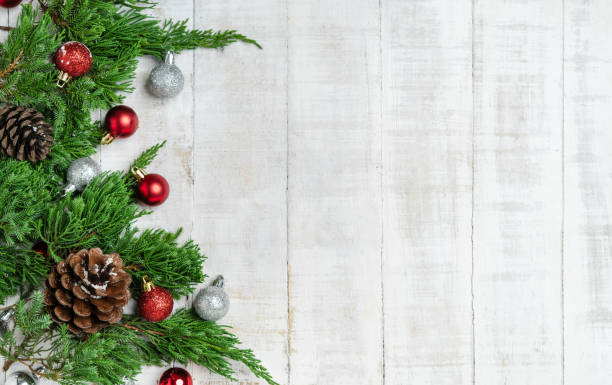 istock Christmas - Pine cones and branches  On the snow 1186119077