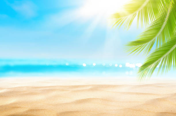 istock Blur beautiful nature green palm leaf on tropical beach with bokeh sun light wave abstract background. 1186119644