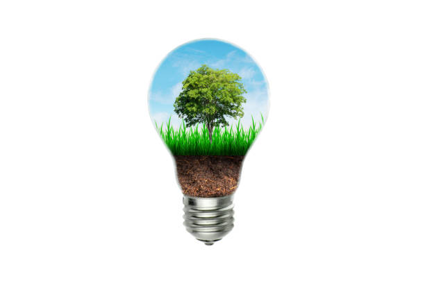 istock Green tree growth thru brown soil and green grass in light bulb isolated on white background. 1186122239