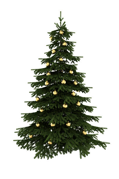 istock christmas tree with gold balls isolated on white background 118612566