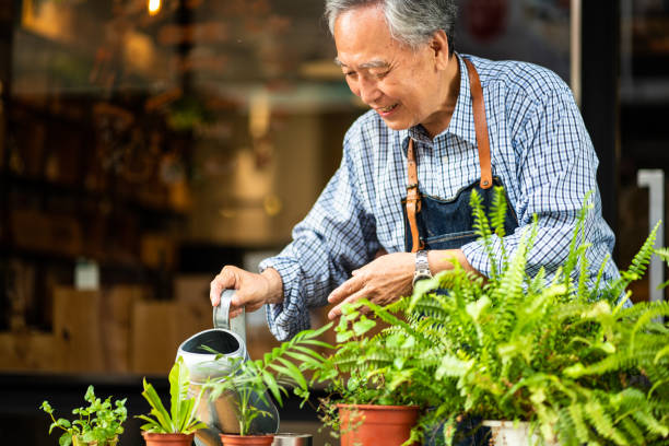 азиатский старший человек, заботясь о растениях - senior adult gardening freshness recreational pursuit стоковые фото и изображения