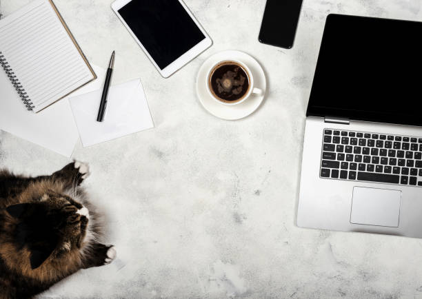 istock Workspace with laptop, cat, tablet, smartphone, notebook and a cup of coffee. Top view of freelancer working place. 1186127138
