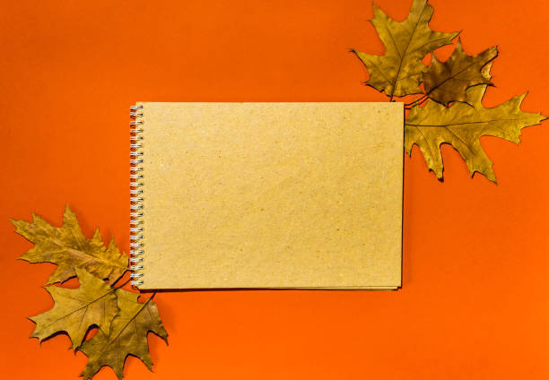 istock autumn leaf background with place for your text 1186127159