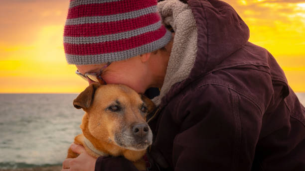 istock Person hugging a senior dog 1186127507
