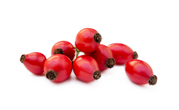 Ripe rose hip Ripe rose hip isolated on white background wild rose hip stock pictures, royalty-free photos & images