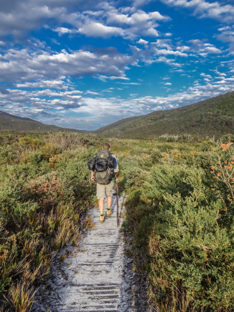 istock A hiker at Wilson Promontory National Park 1186129379