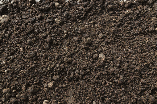 Closeup abundance soil for agriculture or planting peach.