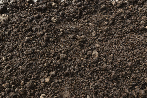 Closeup abundance soil for agriculture or planting peach. Closeup abundance soil for agriculture or planting peach. soil health stock pictures, royalty-free photos & images