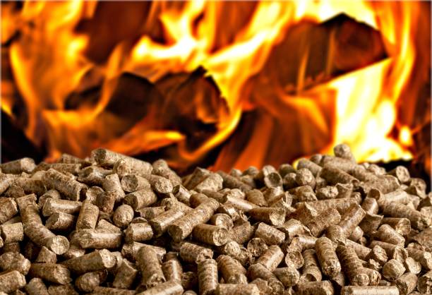 Biomass. stock photo