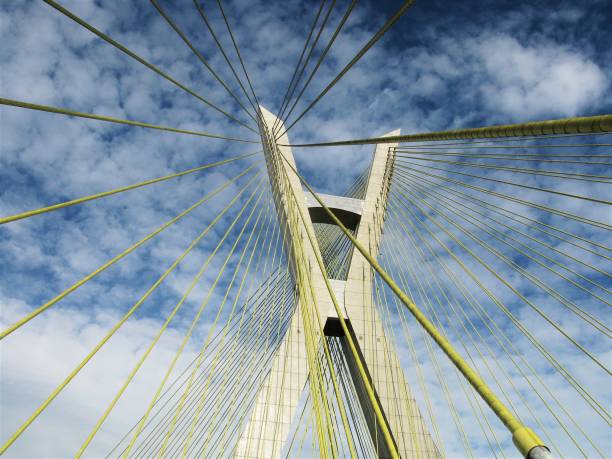 istock Bridge in Sao Paulo 1186133971
