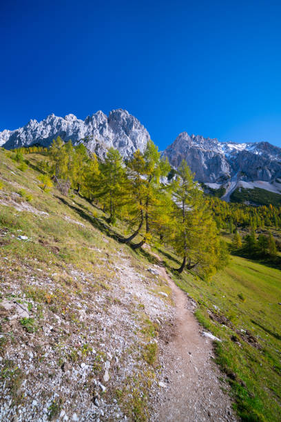 istock hiking path over mountain pasture with high alpine mountains in background 1186134096