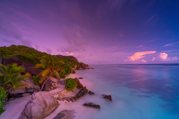 moonlight blues, high angle view long exposure evening on tropical island beach