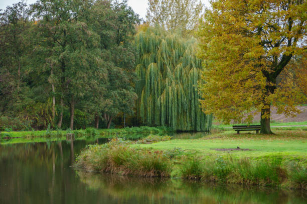 istock autumn at the castle of raesfeld 1186139305
