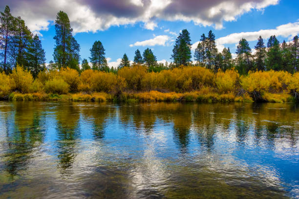 istock Autumn Colors along the Williamson River, Klamath County Oregon 1186139462