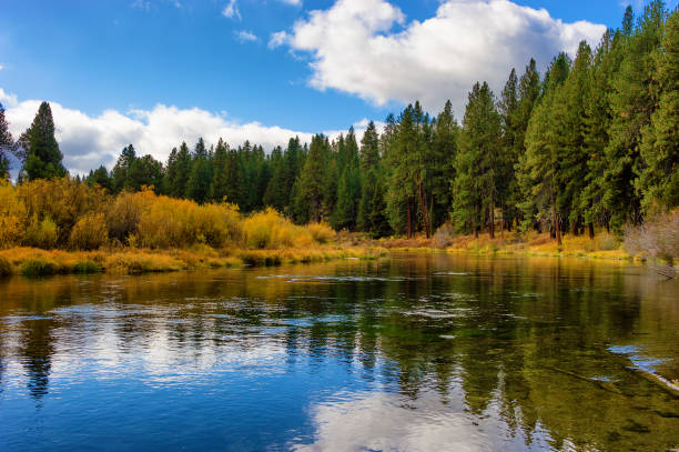 istock Autumn Colors along the Williamson River, Klamath County Oregon 1186139538