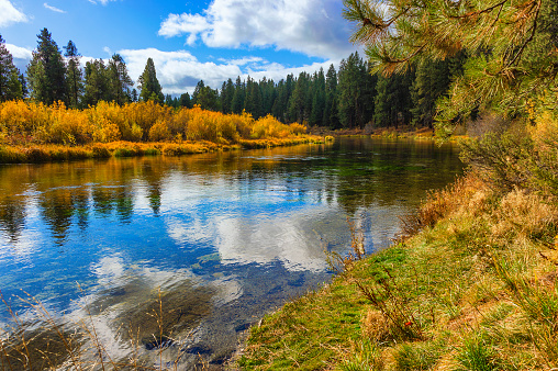 Falls colors along the Williamson River in rural Klamath County, Oregon