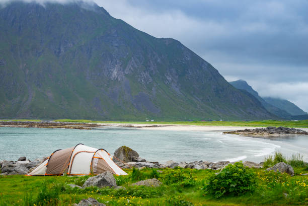 istock Tent on sea shore, Lofoten Norway 1186139576
