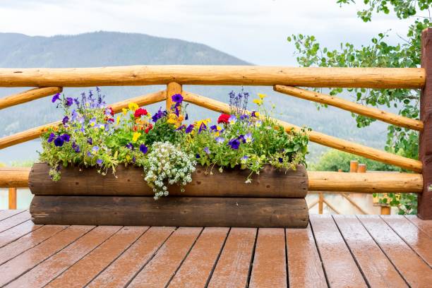 Rustic wooden flower box in the rain