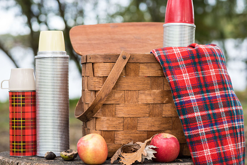 Vintage picnic items and apples in autumn