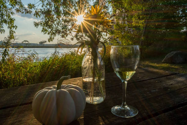 Picnic in the park with wine at golden hour Golden hour picnic with wine golden hour wine stock pictures, royalty-free photos & images