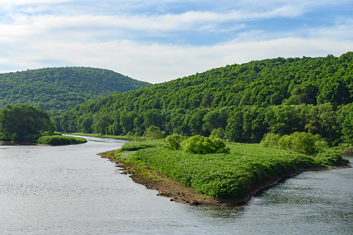 This is a photograph of the lush river banks along the Delaware River in the Catskill Mountains seen from a high angle view in upstate New York in spring.