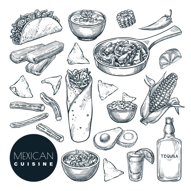 Mexican traditional food, vector sketch illustration. Hand drawn snack meal set. Restaurant, cafe menu design elements Mexican traditional food, vector sketch illustration. Set of isolated hand drawn snack meal. Restaurant or cafe menu design elements. tacos stock illustrations