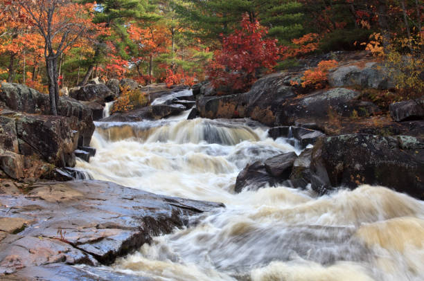 istock Rushing River in Autumn in Ontario 1186145721
